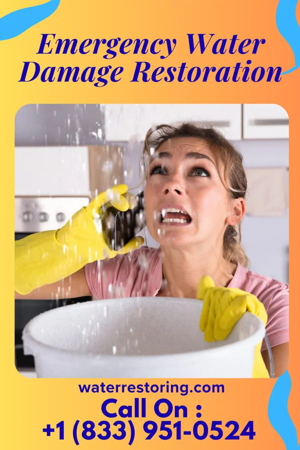 Emergency Water Damage Restoration in Santa Paula, CA