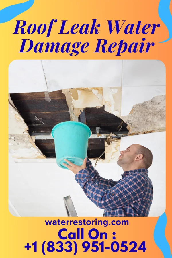 Roof Leak Water Damage Repair in Santa Paula, CA